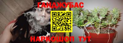 амф Можга